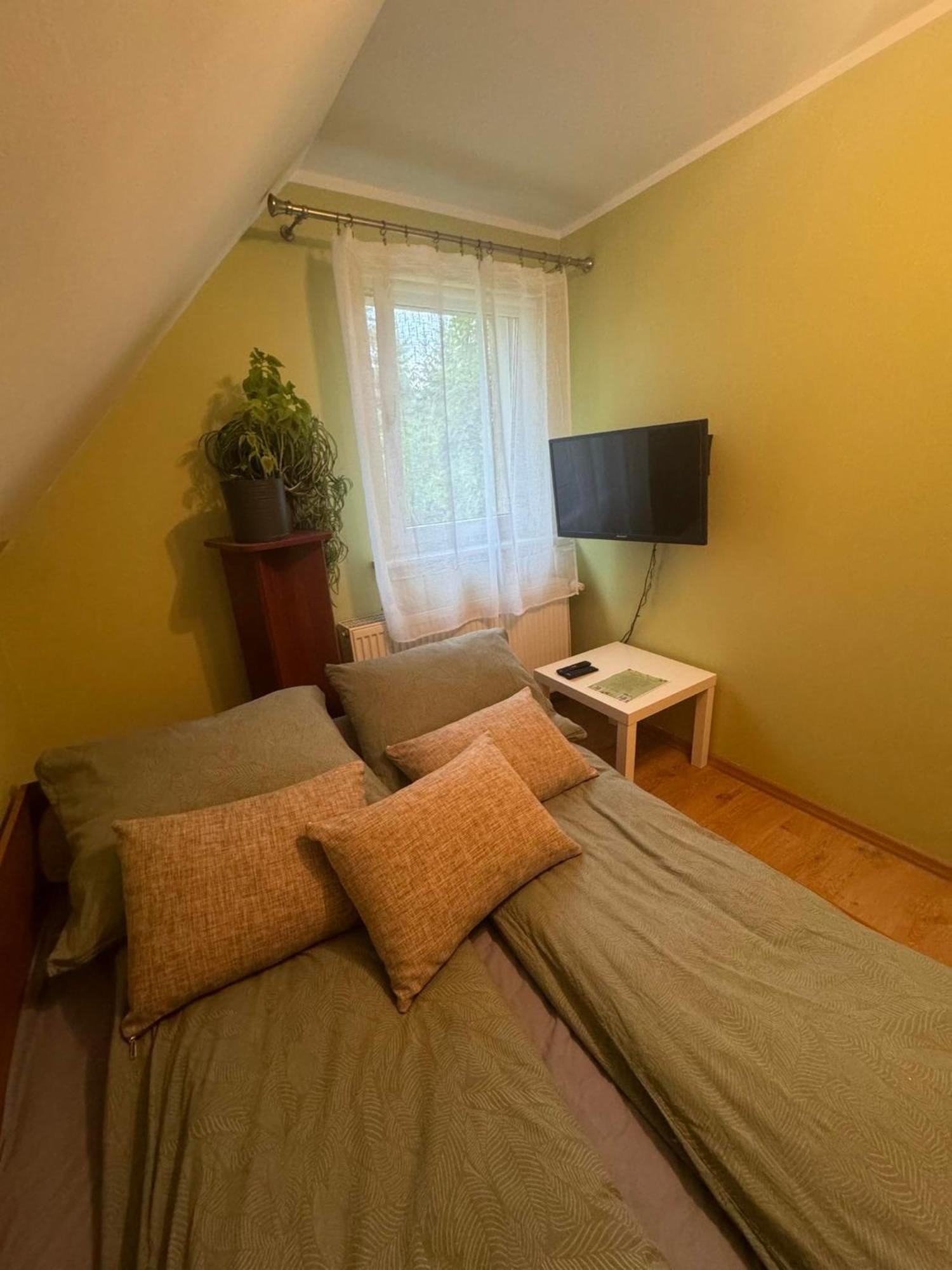 Zielony Zakatek Piechowice  Oda fotoğraf