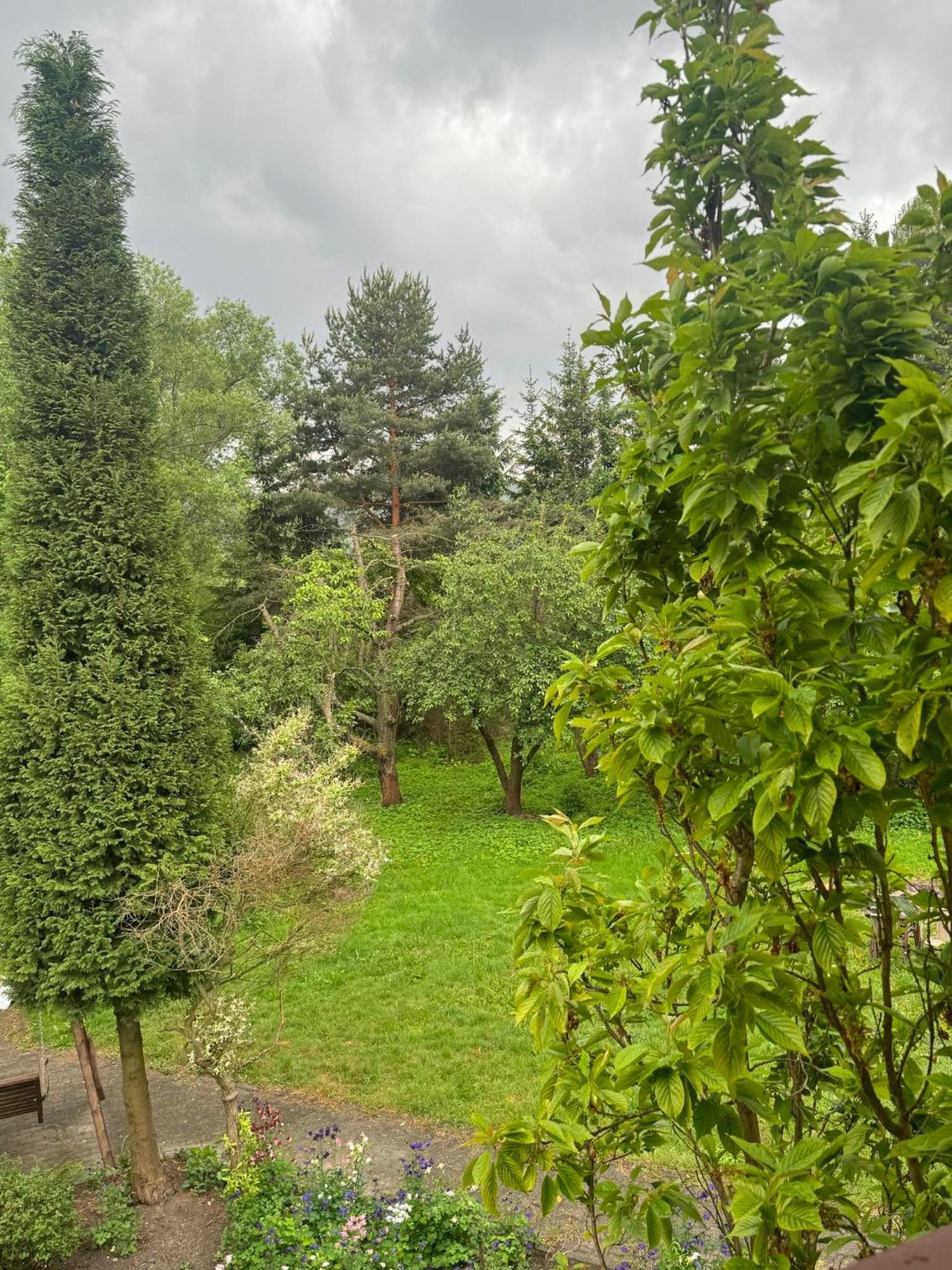 Zielony Zakatek Piechowice  Oda fotoğraf